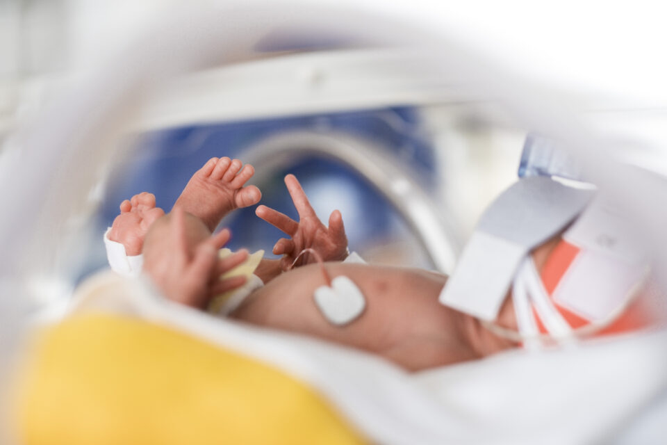 WINZIGKLEIN – Unterstützung für einen herausfordernden Start ins Leben 1 PM 5 Jahre Winzigklein Credit Robert PoortenEVK